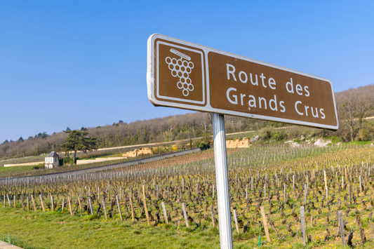 The Best Alternative to Saint-Émilion Grand Cru Wines: Pecharmant Wines
